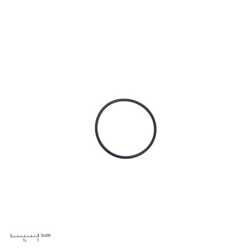 O-Ring [0-2443]