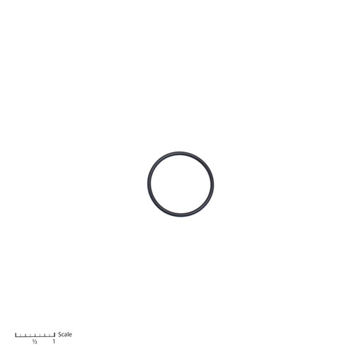 O-Ring [0-2444]