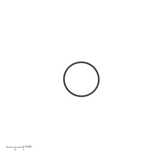 O-Ring [0-2486]