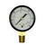 Gauge,1/4" NPT Bottom Mount,0-60 PSI,2" [28-721]