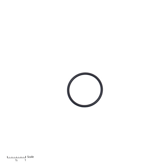 O-Ring [0-139]