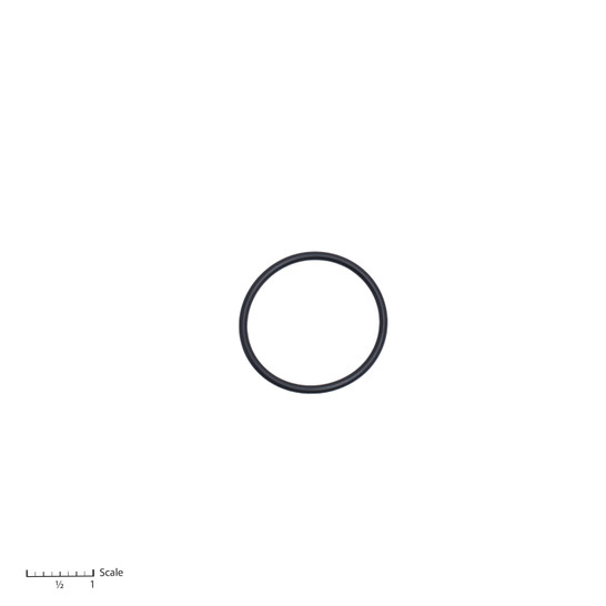 O-Ring [0-254]