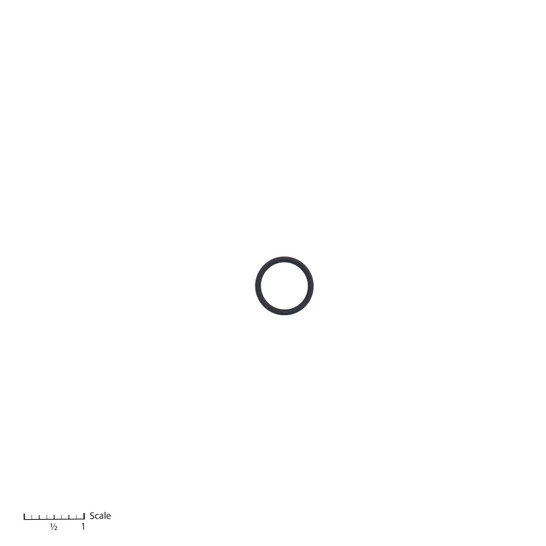 O-Ring [0-2244]