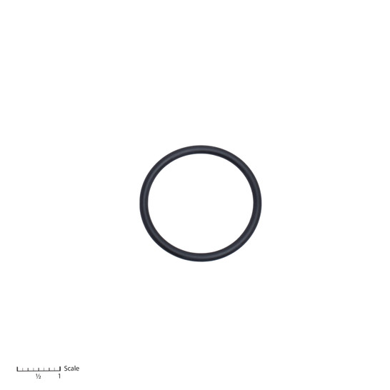 O-Ring [0-2489]