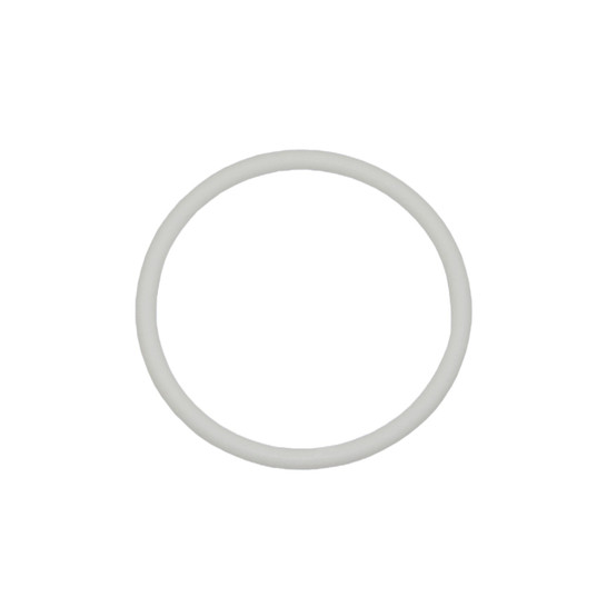 Teflon O-Rings (10-Pack) [55-3008]