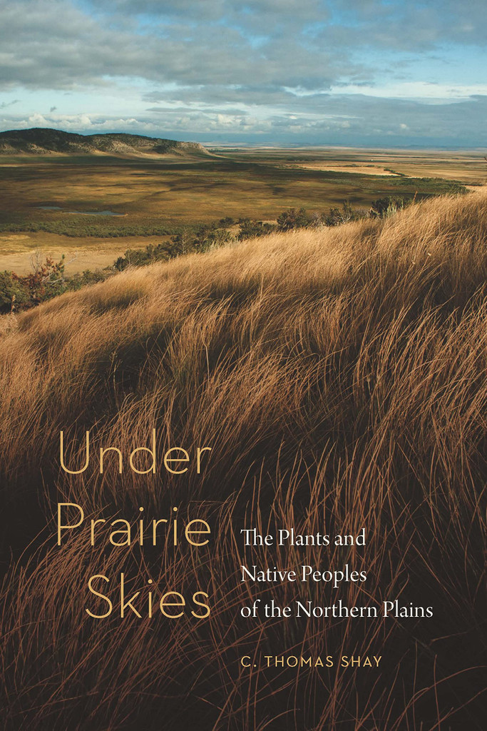 under prairie skies