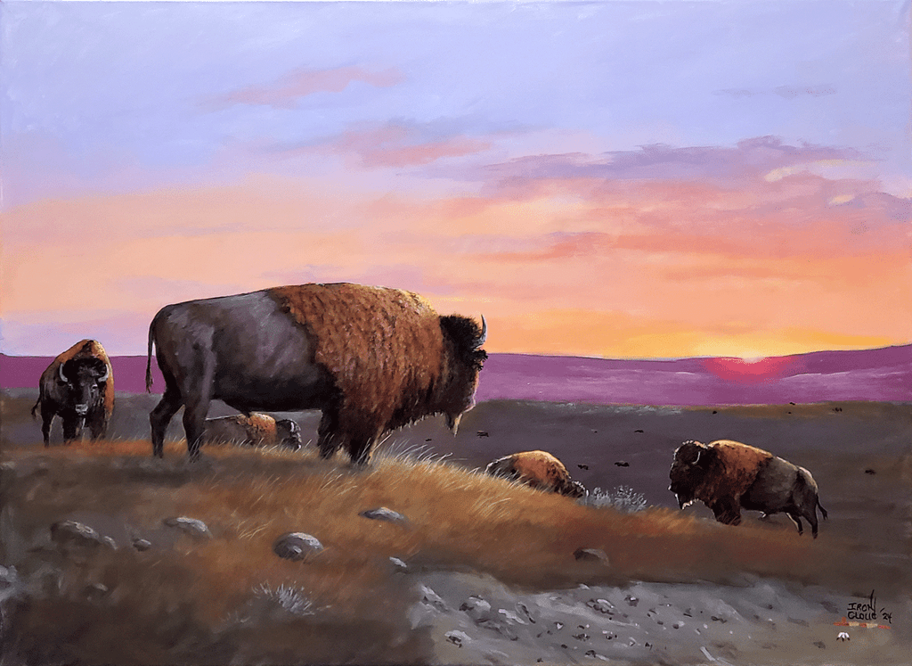 Buffalo herd at sunset painted by Lakota Sioux artist, Del Iron Cloud.