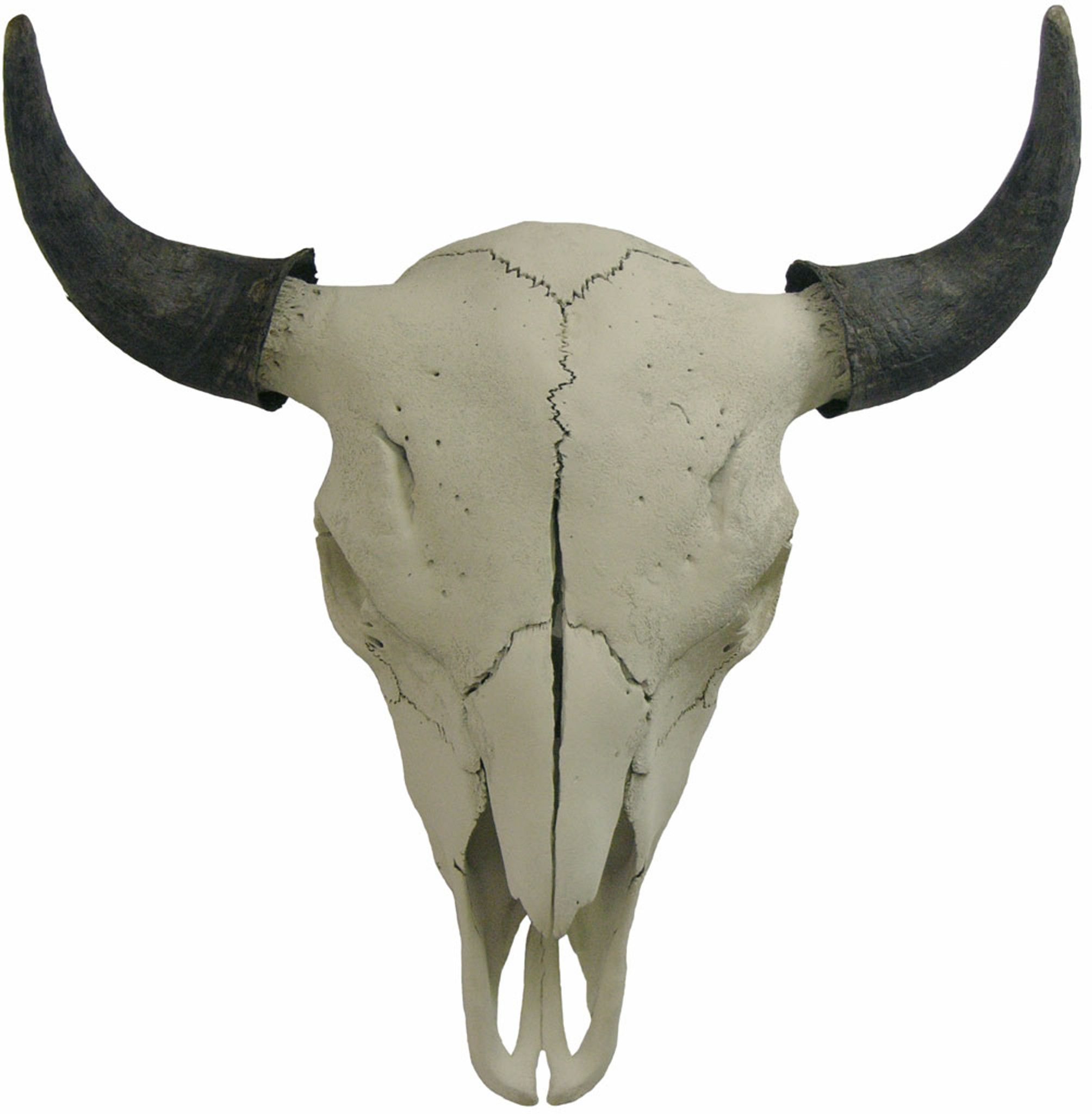 Native Craft Buffalo w. Horn Bull