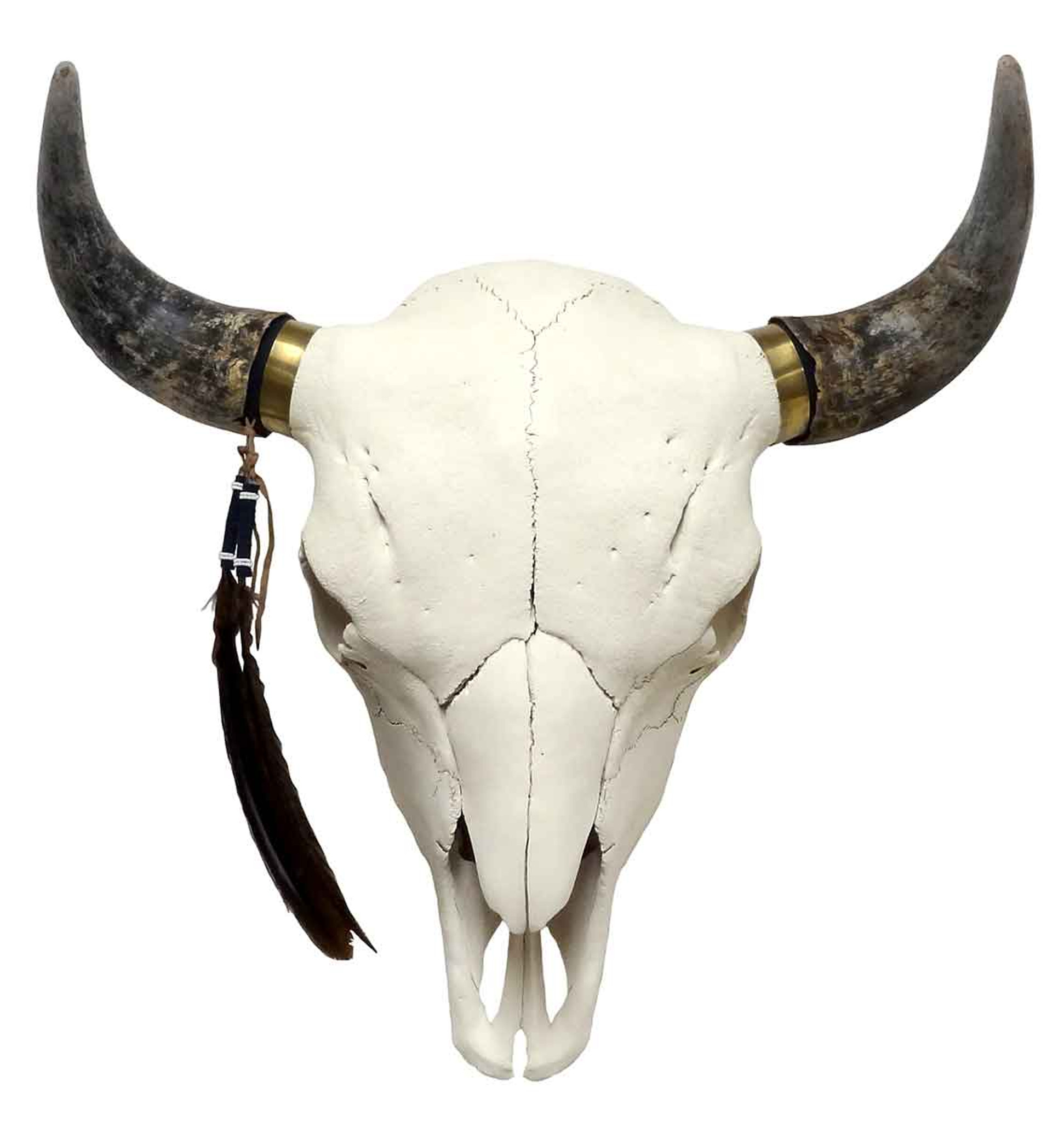 Decorated Buffalo Bull Skull: Buffalo Honoring