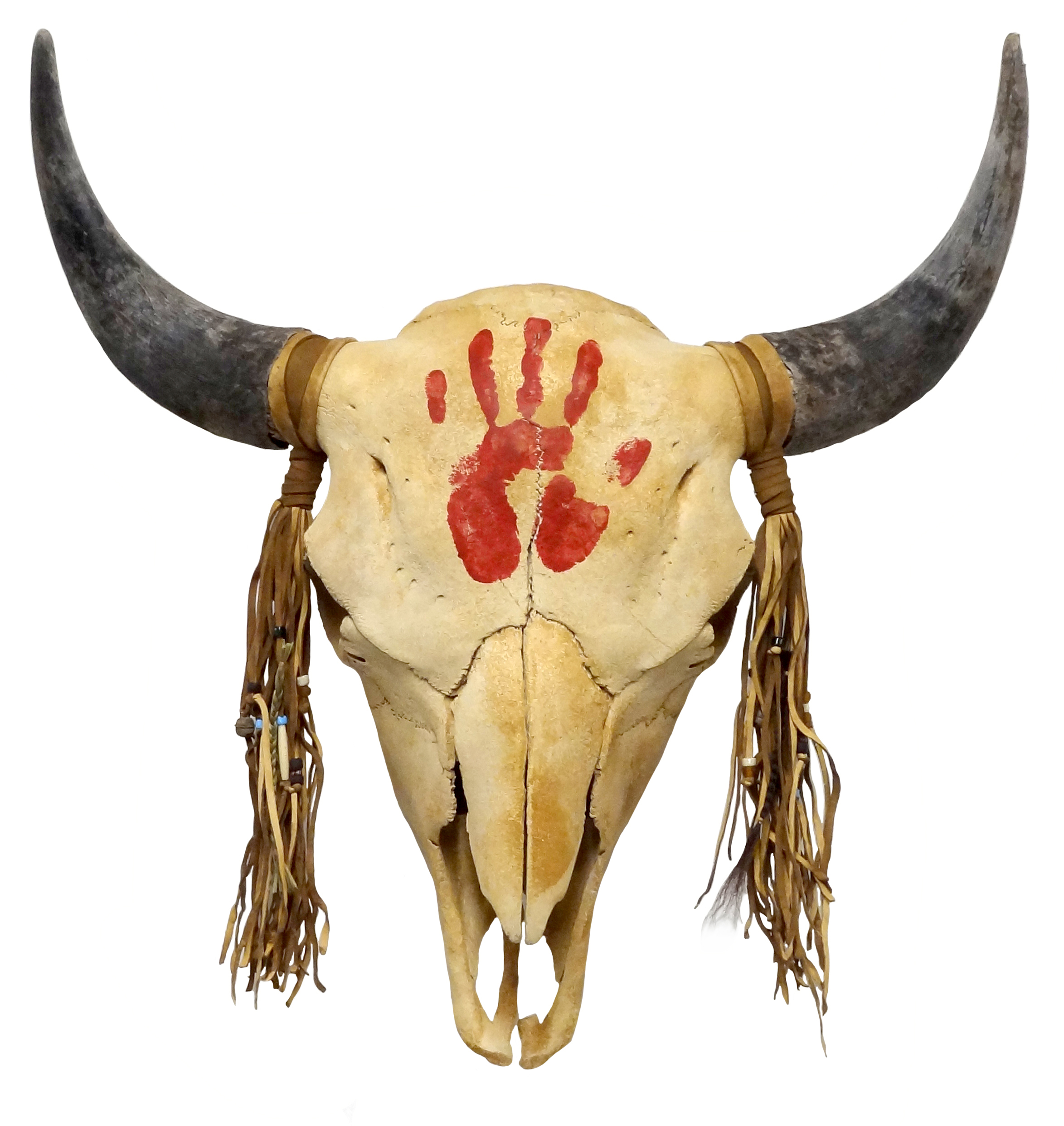 Painted Buffalo Bull Skull: Red