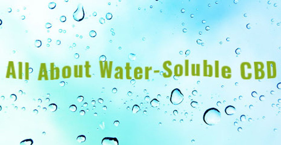 All About Water-Soluble CBD