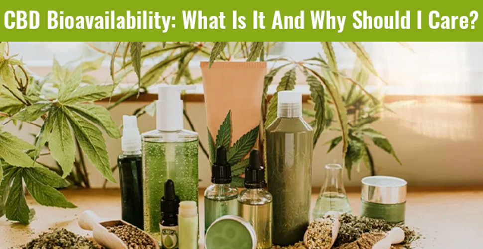 CBD Bioavailability: What Is It And Why Should I Care?
