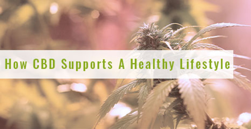 How CBD Supports A Healthy Lifestyle