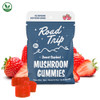 Road Trip Desert Stardust Blend Mushroom Gummies - 4ct Pouch - Display of 10 Pouches - Strawberry Flavored
