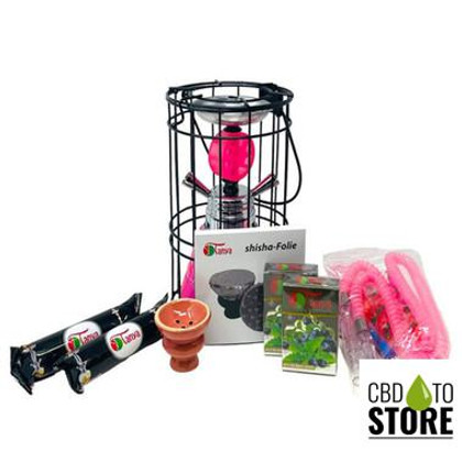Tanya Hookah 11.5 Inch Double Hose Hookah Kit With Cage - Assorted Colors (MSRP $44.00)