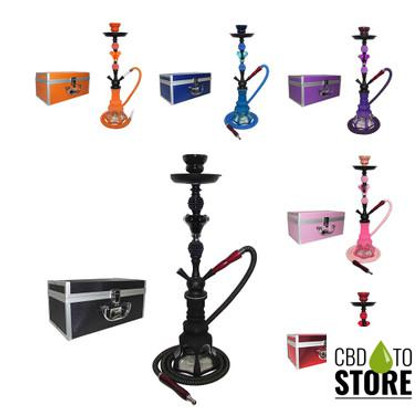 Tanya Hookah Hummer 21 Inch Single Hose Hookah With Traveling Case - Assorted Colors (MSRP $36.00)