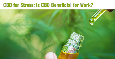 CBD for Stress: Is CBD Beneficial for Work?