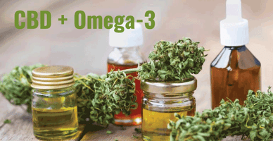 Benefits of CBD taken with Omega 3 