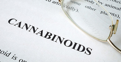 CBD And Friends: Exploring Minor Cannabinoids