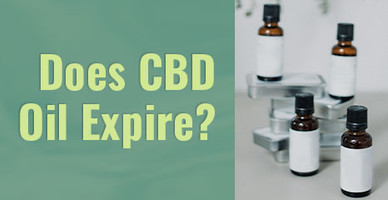 Does CBD Oil Expire?