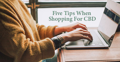 Five Tips When Shopping For CBD