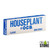 Houseplant By OCB Mini Size Cones - Pack of 8 - Display of 32 Packs (MSRP $5.00 Each)
