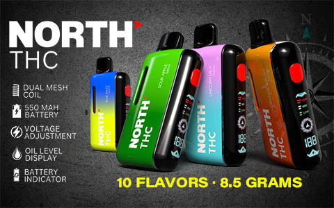 North THC Delta Liquid Diamonds Disposable Vape With Interactive Screen 8.5G