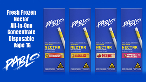 PABLO Delta-9 THC Fresh Frozen Nectar All-In-One Concentrate Disposable Vape Device 1G
