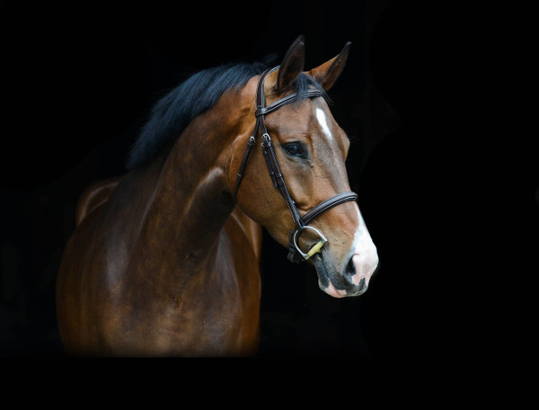 C&C Fancy Stitch Traditional Bridle