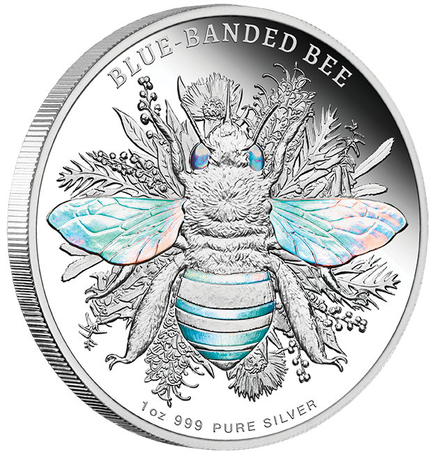 2025 Australian Native Bees - Blue-banded Bee 1oz Silver Proof Hologram ...