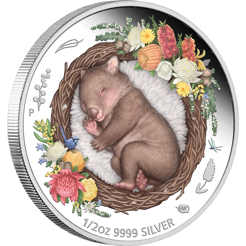 Dreaming Down Under – Wombat 2021 1/2oz Silver Proof Coloured Coin