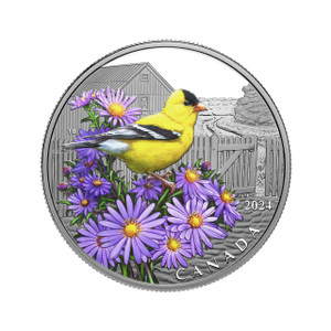 2024 $20 Fine Silver Coin - Colourful Birds: American Goldfinch - reverse 2024 $20 Fine Silver Coin - Colourful Birds: American Goldfinch - reverse
