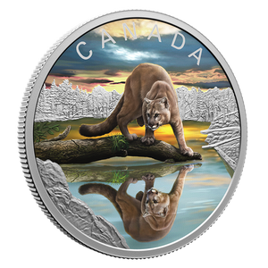 2024 $20 Fine Silver Coin - Wildlife Reflections: Cougar - reverse - angle view 2024 $20 Fine Silver Coin - Wildlife Reflections: Cougar - reverse - angle view