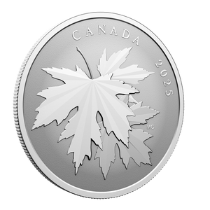 2025 $10 Fine Silver Coin - Gleaming Maple Leaves - reverse angle 2025 $10 Fine Silver Coin - Gleaming Maple Leaves - reverse angle