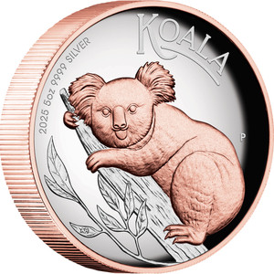 Australian Koala 2025 5oz Silver Proof High Relief Gilded Coin - reverse angle Australian Koala 2025 5oz Silver Proof High Relief Gilded Coin - reverse angle