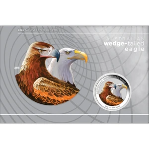 Australian Wedge-tailed Eagle 2026 1oz Silver Coloured Coin in Card - coin in card front