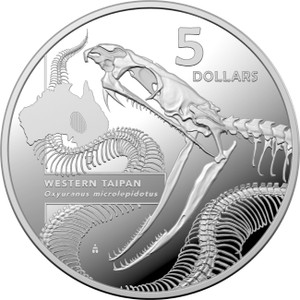 2020 $5 Australia's Most Dangerous - Western Taipan 1oz Silver Proof Coin - reverse