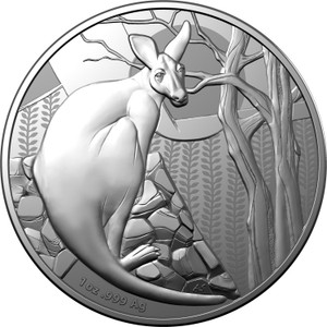 Kangaroo Series 2022 $1 1oz Fine Silver Proof Coin - in full packaging Kangaroo Series 2022 $1 1oz Fine Silver Proof Coin - in full packaging