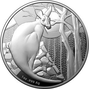 Kangaroo Series 2022 $1 1oz Fine Silver Proof Coin - reverse Kangaroo Series 2022 $1 1oz Fine Silver Proof Coin - reverse