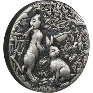 Australian Lunar Series III 2023 Year of the Rabbit 2oz Silver Antiqued Coin - reverse
Australian Lunar Series III 2023 Year of the Rabbit 2oz Silver Antiqued Coin - reverse