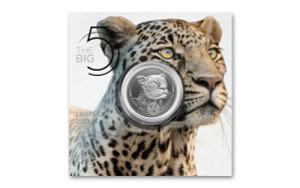 2023 South Africa 1oz Silver Big 5 Series II Leopard Bu Coin in Card - in full packaging - closed 2023 South Africa 1oz Silver Big 5 Series II Leopard Bu Coin in Card - in full packaging - closed