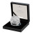 Stegosaurus 2024 UK 50p Silver Proof Coin - in presentation box
