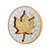 2024 $20 Fine Silver Coin - Super Incuse 1-oz Silver Maple Leaf - reverse angle 2024 $20 Fine Silver Coin - Super Incuse 1-oz Silver Maple Leaf - reverse angle