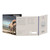 Diplodocus 2024 UK 50p Brilliant Uncirculated Coin - in presentation card - back Diplodocus 2024 UK 50p Brilliant Uncirculated Coin - in presentation card - back