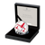The Red Arrows 2025 UK 50p Silver Proof Piedfort Colour Coin - in presentation box The Red Arrows 2025 UK 50p Silver Proof Piedfort Colour Coin - in presentation box