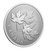 2026 $10 Fine Silver Coin - Gleaming Maple Leaves - reverse angle