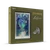 Warner Brothers - Elven Lórien & Lothlórien Collectible Set - presentation left