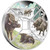 Year of the Ox Quadrant 2021 1oz Silver Four-Coin Set - reverse angle view Year of the Ox Quadrant 2021 1oz Silver Four-Coin Set - reverse angle view