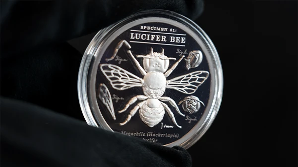 Lucifer Bee: Beauty Has a Dark Side