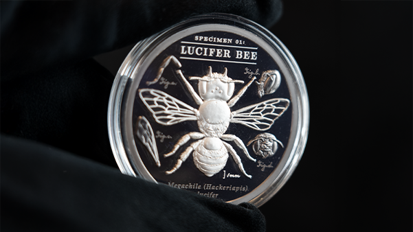 Lucifer Bee: Beauty Has a Dark Side